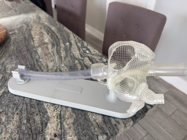 PULS3D || Heart Model for Catheter Manipulation